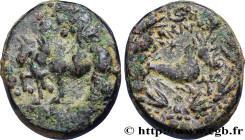 KINGDOM OF COMMAGENE - EPIPHANES AND KALLINICUS
Type : Unité 
Date : 72 
Mint name / Town : Samosate, Syrie, Commagène 
Metal : copper 
Diameter : 22 ...