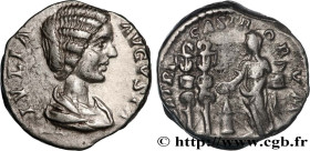 JULIA DOMNA
Type : Denier 
Date : 198 
Mint name / Town : Rome 
Metal : silver 
Millesimal fineness : 550  ‰
Diameter : 16,50  mm
Orientation dies : 6...
