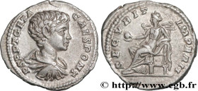 GETA
Type : Denier 
Date : 202 
Mint name / Town : Rome 
Metal : silver 
Millesimal fineness : 550  ‰
Diameter : 18  mm
Orientation dies : 6  h.
Weigh...