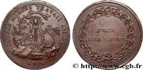 DIRECTOIRE
Type : Médaille, Prix de la société de santé de Lyon 
Date : (1795) 
Mint name / Town : 69 - Lyon 
Metal : bronzed tin 
Diameter : 37  mm
W...