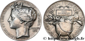 III REPUBLIC
Type : Médaille, Dîner de la marmite 
Date : 1873/(1881) 
Metal : silver plated copper 
Diameter : 50,5  mm
Engraver : ROTY Louis Oscar (...