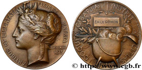 III REPUBLIC
Type : Médaille, Dîner de la marmite 
Date : 1873/(1881) 
Metal : bronze 
Diameter : 50,5  mm
Engraver : ROTY Louis Oscar (1846-1911) 
We...