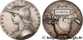 III REPUBLIC
Type : Médaille, Dîner de la marmite 
Date : (1881) 
Metal : silver plated bronze 
Diameter : 50  mm
Engraver : ROTY Louis Oscar (1846-19...