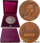III REPUBLIC
Type : Médaille de récompense 
Date : (1900) 
Metal : bronze 
Diameter : 50  mm
Engraver : DUBOIS Henri (1859-1943) 
Weight : 64,72  g.
E...