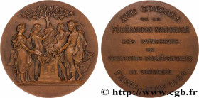 III REPUBLIC
Type : Médaille, XVIe congrès de la fédération nationale des syndicats de voyageurs représentants de commerce 
Date : 1924 
Metal : bronz...
