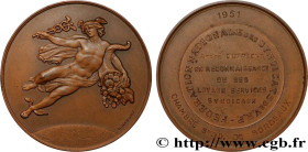 IV REPUBLIC
Type : Médaille, Chambre syndicale, Fédération nationale des syndicats de V. R. P. 
Date : 1951 
Mint name / Town : 33 - Bordeaux 
Metal :...