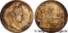 BURGUNDY - TOWNS AND GENTRY
Type : Agnès Françoise Le Bouchier, refrappe 
Date : (1699) 
Metal : copper 
Diameter : 31  mm
Orientation dies : 12  h.
W...