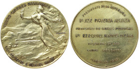 Argentina, Medal for the Nahuel-Huapi railroad, Patagonian Railways, 1910 The General Roca railroad line was extended to the shores of Lake Nahuel Hua...