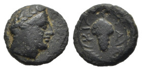 BITINIA. Kios (c. 330-300 a.C.). AE (g 0,96). Testa di Mitra a destra, con elmo frigio laureato. R/ Grappolo d'uva entro corona. RG 13; HGC 7, 560. qB...