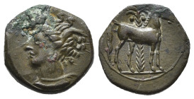 CARTAGINE (c. 400-350 a.C.). Zecca siciliana(?). AE (g 2,76). Testa di Tanit a sinistra, con corona di spighe. R/ Cavallo stante a destra; albero di p...