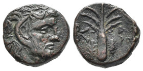 CIRENAICA. Cirene (c. 282-261 a.C.). AE (g 3,82). Testa diademata di Zeus Ammon a destra. R/ Albero di palma; silfio a sinistra, granchio a destra. SN...