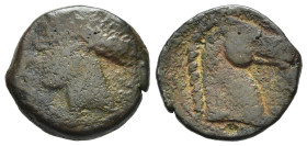 SARDEGNA PUNICA, c. 300-264 a.C. AE (g 4,74). Testa coronata di Tanit a sinistra. R/ Testa di cavallo a destra. CNP 251; Piras 1; SNG Copenhagen 149-1...