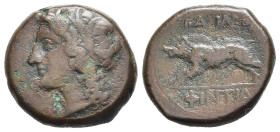 SICILIA. Akragas. Phintias (Tiranno, 287-279 a.C.). Ae (g 6,81). Testa di Akragas a sinistra. R/ Cinghiale a sinistra. CNS I, 117; SNG ANS 1122; HGC 2...