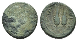 SICILIA. Katane (fine III secolo a.C.). AE (g 1,69). Busti accollati di Serapide e Isis. R/ Due spighe. CNS III, 23; HGC 2, 627. MB. Nr. Reg. 641/25
