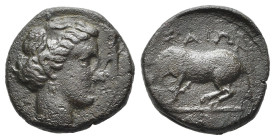 TESSAGLIA. Larissa (c. 370-360 a.C.). Dichalkon. AE (g 3,28). Testa della ninfa Larissa a destra. R/ Cavallo a sinistra nell'atto di sdraiarsi. BCD Th...
