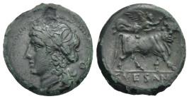 Campania. Suessa Aurunca. Bronze. Circa 265-240 BC (Bronze, 20.55 mm, 4.96 g). Laureate head of Apollo left; behind, O. Rev. SVESANO, Man-headed bull ...