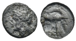 Campania. Neapolis. Bronze. Circa 310-270 BC (Bronze, 11.87 mm, 1.15 g). [NEOΠΟΛΙΤΩN], Laureate head of Apollo left. Rev. Forepart of man-headed bull ...