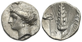Lucania. Metapontion. Stater. Circa 340-330 BC (Silver, 20.93 mm, 7.74 g). Wreathed head of Demeter left. Rev. ME - T[A], Ear of grain with leaf to ri...
