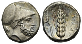 Lucania. Metapontion. Stater. Circa 340-330 BC (Silver, 21.25 mm, 7.78 g). Helmeted head of Leukippos right, helmet decorated with quadriga and hippoc...
