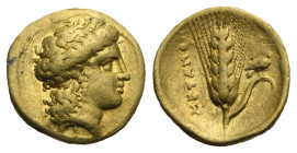 Lucania. Metapontion. Tetrobol or Third Stater. Time of Alexander the Molossian: circa 334-322 BC (Gold, 13.50 mm, 2.52 g). Head of Hera right, wearin...