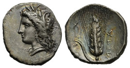 Lucania. Metapontion. Stater. Circa 330-290 BC (Silver, 24.56 mm, 7.74 g). Wreathed head of Demeter left. Rev. META, Ear of grain with leaf to left; a...