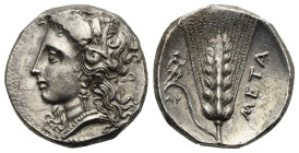 Lucania. Metapontion. Stater. Circa 330-290 BC (Silver, 20.72 mm, 7.87 g). Wreathed head of Demeter left. Rev. META, Ear of grain with leaf to left; a...