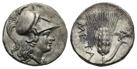 Lucania. Metapontion. Half Shekel. Punic occupation, circa 215-207 BC (Silver, 17.85 mm, 3.44 g). Helmeted head of Athena right. Rev. META, Ear of gra...