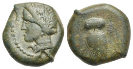 Sicily. Katane. Tetras struck by the Campanian mercenaries. Circa 339-338 BC (Bronze, 13.91 mm, 7.97 g). Wreathed head of nymph left. Rev. Owl standin...