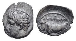 Sicily. Panormos (as Ziz). Litra. Circa 405-380 BC (Silver, 10.42 mm, 0.48 g). Young male head left; behind neck, swastika (not visible). Rev. ŠB'L ṢY...