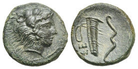 Sicily. Selinos. Bronze. Circa 415-409 BC (Bronze, 16.61 mm, 3.48 g). Head of youthful Herakles right, wearing lion's skin headdress. Rev. ΣE, The wea...