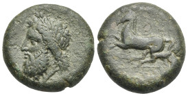 Sicily. Syracuse. Dilitron struck under Timoleon and the third democracy. Circa 339-334 BC (Bronze, 26.45 mm, 19.30 g). ΖΕΥΣ ΕΛΕΥΘΕΡΙΟΣ, Laureate head...