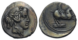 Q. Titius. Denarius. Rome. 90 BC (Silver, 18.46 mm, 3.93 g). Head of young Bacchus (or Liber) right, wearing ivy wreath. Rev. Pegasus prancing right, ...