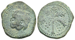 Italy. Messina. Kingdom of Sicily. Guglielmo II, 1166-1189. Trifollaro (Bronze, 25.03 mm, 9.97 g). Lion head facing slightly left. Rev. Palm tree with...