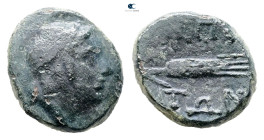 Macedon. Amphipolis circa 148-31 BC. Bronze Æ
