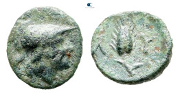 The Thracian Chersonese. Lysimacheia circa 356-309 BC. Bronze Æ