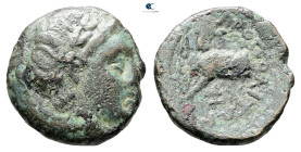 Thessaly. Metropolis circa 300-200 BC. Bronze Æ