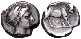 CAMPANIA. Neapolis. Circa 300 BC. Didrachm or nomos (Silver, 19 mm, 7.25 g, 3 h). Head of nymph Parthenope to right, wearing ampyx, earring, and pearl...
