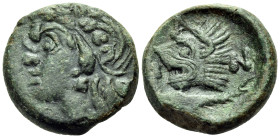 CIMMERIAN BOSPOROS. Pantikapaion. Circa 310-304/3 BC. (Bronze, 19 mm, 7.16 g, 1 h). Head of beardless satyr to left. Rev. Π-Α-Ν Head of lion to left; ...