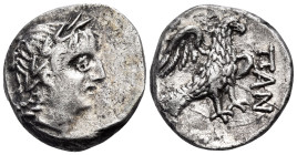 CIMMERIAN BOSPOROS. Pantikapaion. Circa 200-150 BC. Drachm (Silver, 16.5 mm, 4.15 g, 11 h). Laureate head of Apollo to right. Rev. ΠΑΝ Eagle with wing...