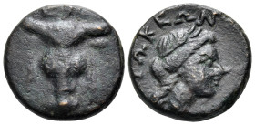 PHOKIS. Elateia. 3rd-2nd century BC. (Bronze, 15 mm, 3.39 g, 6 h). ΕΛ Filleted bull head facing. Rev. ΦΩΚΕΩΝ Laureate head of Apollo to right. BCD Pho...