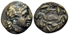 ACHAIA. Pellene. Circa 350-325 BC. Dichalkon (Bronze, 15 mm, 2.37 g, 9 h). Laureate head of Apollo to left. Rev. ΠΕ monogram above ram's head to right...