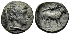 ARKADIA. Pheneos. Circa 370-340 BC. Chalkous (Bronze, 13.5 mm, 1.77 g, 3 h). Bust of youthful Hermes to right, with his cloak tied around his neck, an...