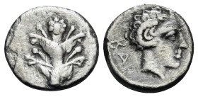 KYRENAIKA. Barke. Circa 435-331 BC. Obol (Silver, 9 mm, 0.60 g, 5 h). Silphium plant with two pairs of leaves and five flowers. Rev. BAP Head of Apoll...