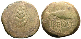 Iberia, Ilipense, Æ As