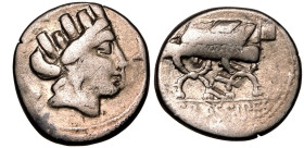 P. Furius Crassipes AR Denarius