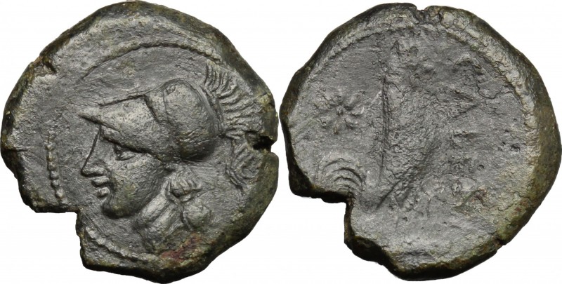 Greek Italy. Samnium, Southern Latium and Northern Campania, Cales. AE 19 mm., 2...