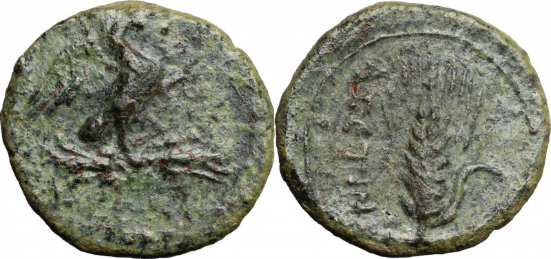 Greek Asia. Southern Apulia, Azetium. AE 17 mm. c. 300-275 BC. D/ Eagle standing...
