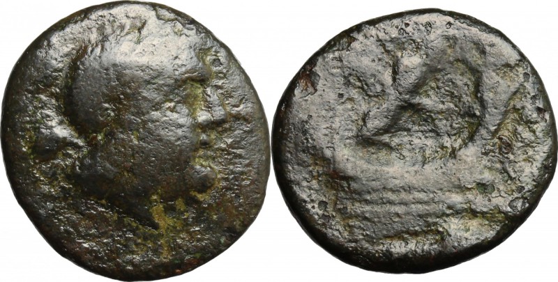 Greek Italy. Southern Apulia, Barium. AE Uncia, c. 180-160 BC. D/ Laureate head ...