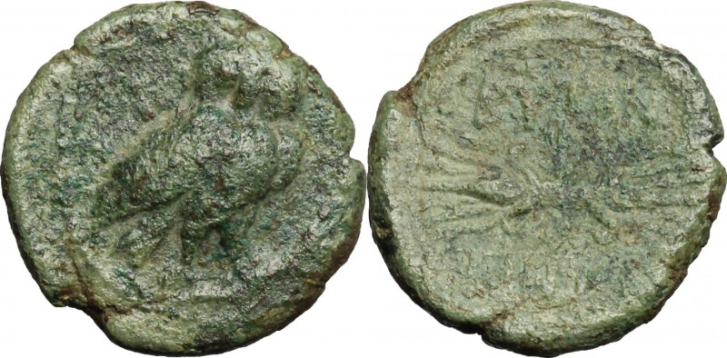 Greek Italy. Southern Apulia, Butuntum. AE 14 mm. 275-225 BC. D/ Owl right on ol...