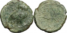 Southern Apulia, Butuntum. AE 14 mm. 275-225 BC